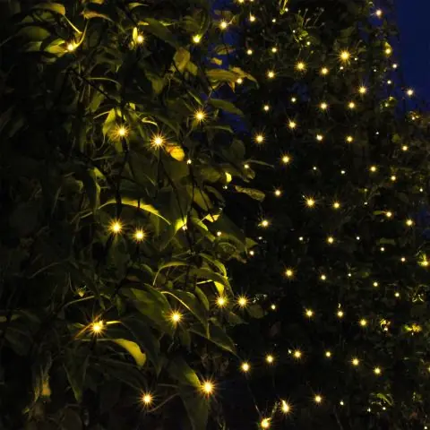 Begränsad tid LightsOn 5086 Ljusnät